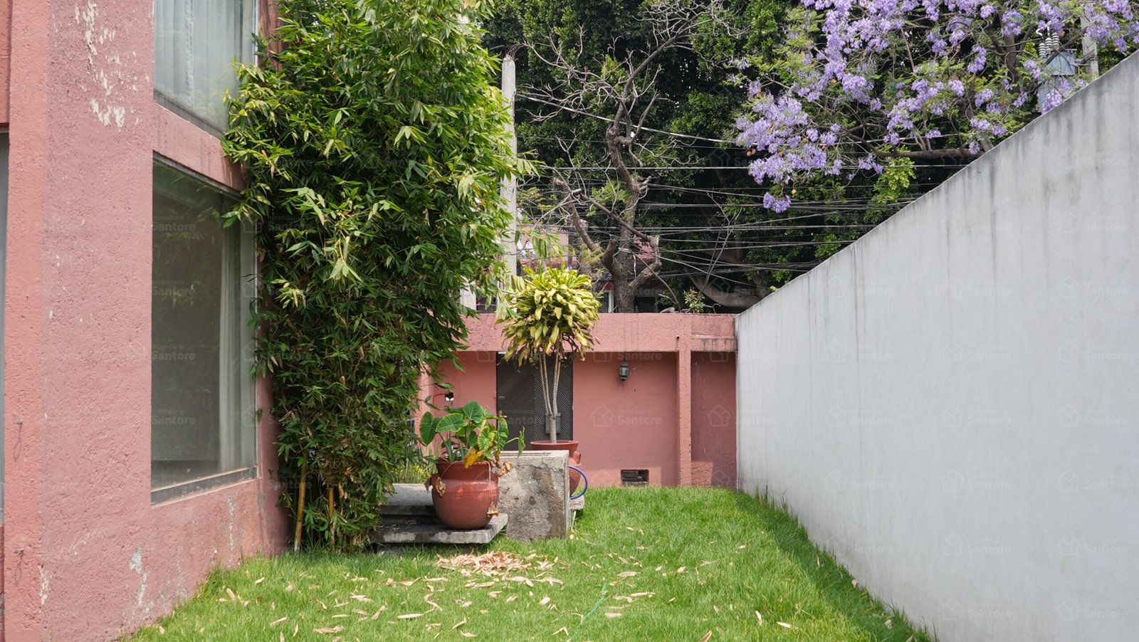Featured image 4